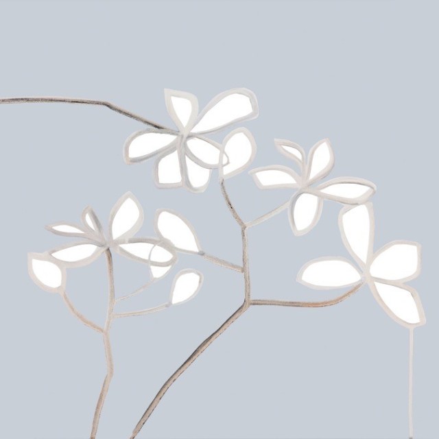 jessica-cooper-still-life