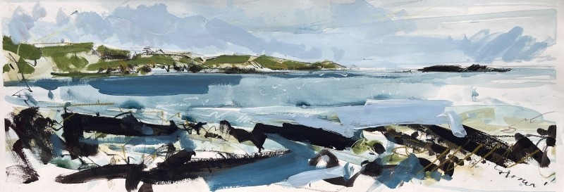 Cudden Point blue demo long