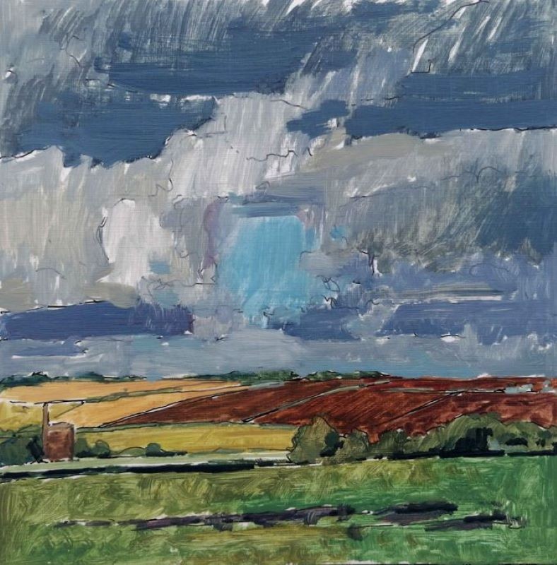 Goldsithney Downs