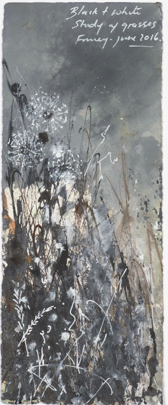Study of Grasses, Fowey