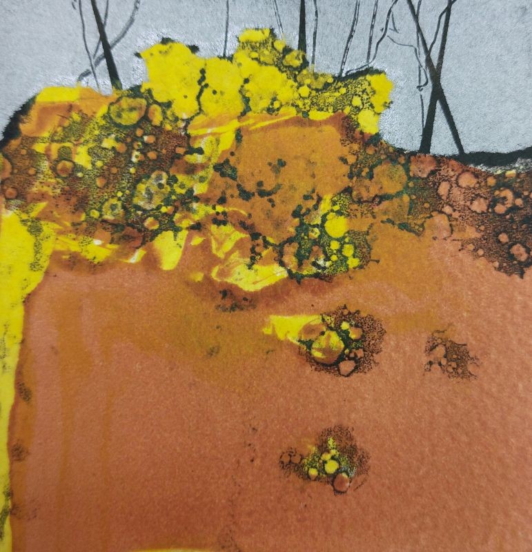 Gorse Boundary