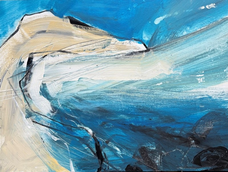Cove (study)