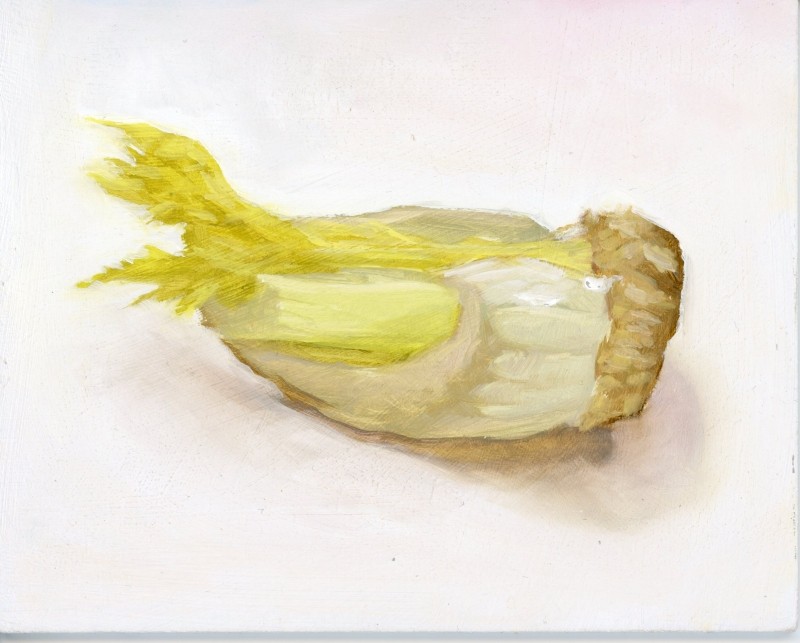 Celery Stalk Study #2