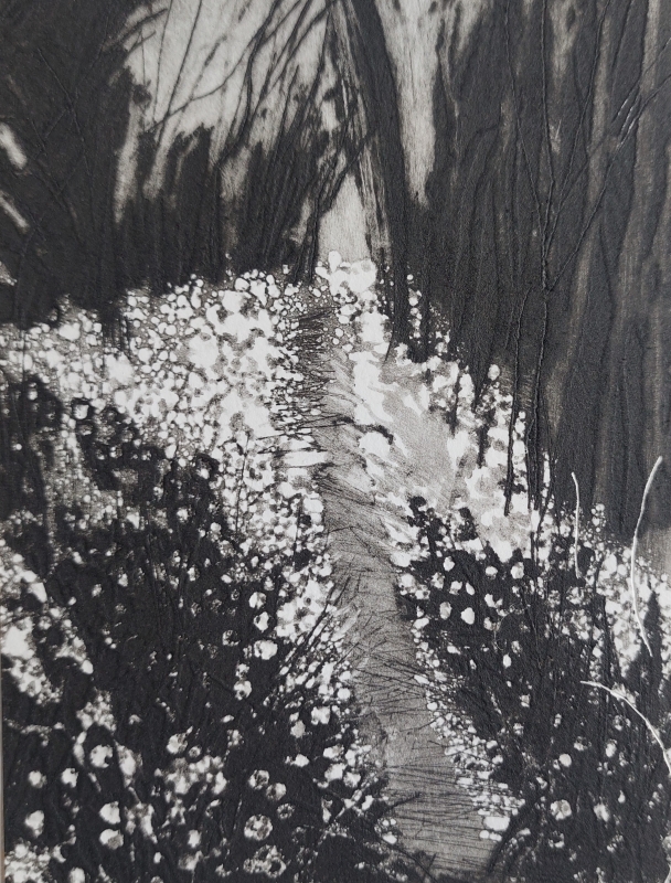 Walking with Wild Garlic