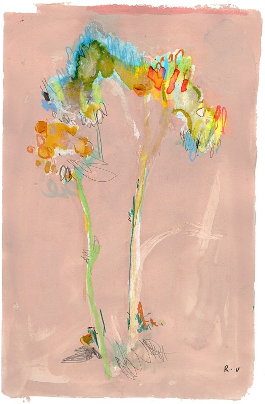 Freesias