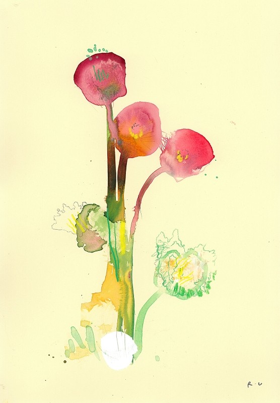 ICELANDIC POPPIES NUMBER TWO