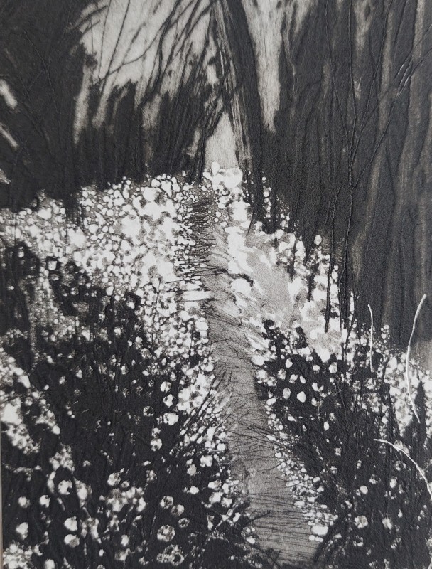 Walking with Wild Garlic