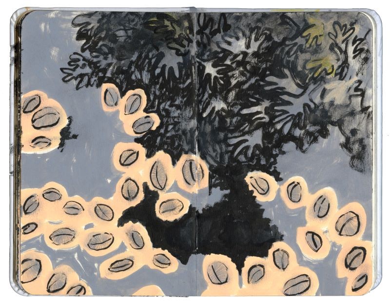 Rockpool