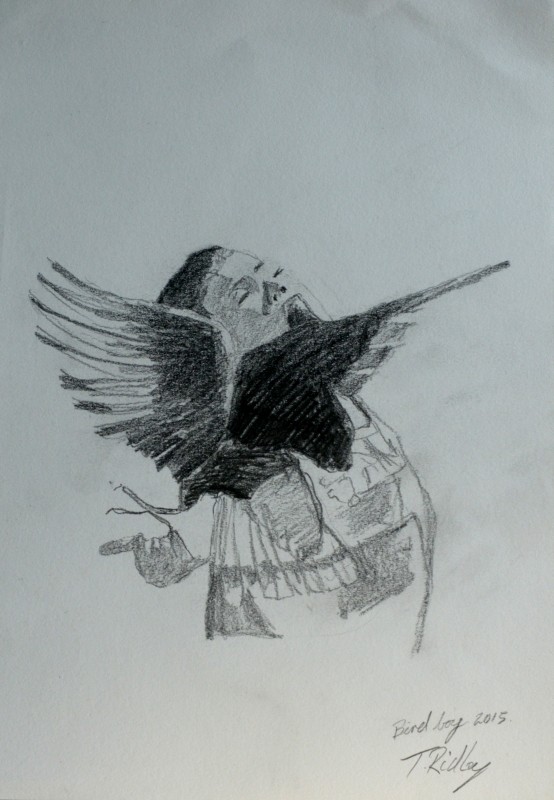 Bird boy