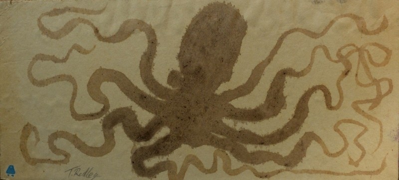Brown octopus