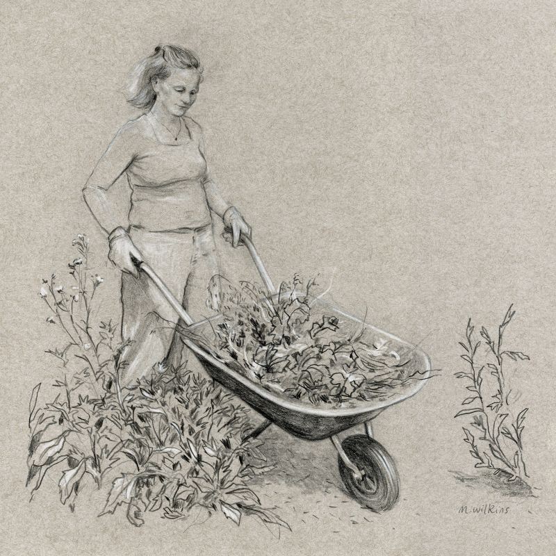Wheelbarrow - The Gardener Series
