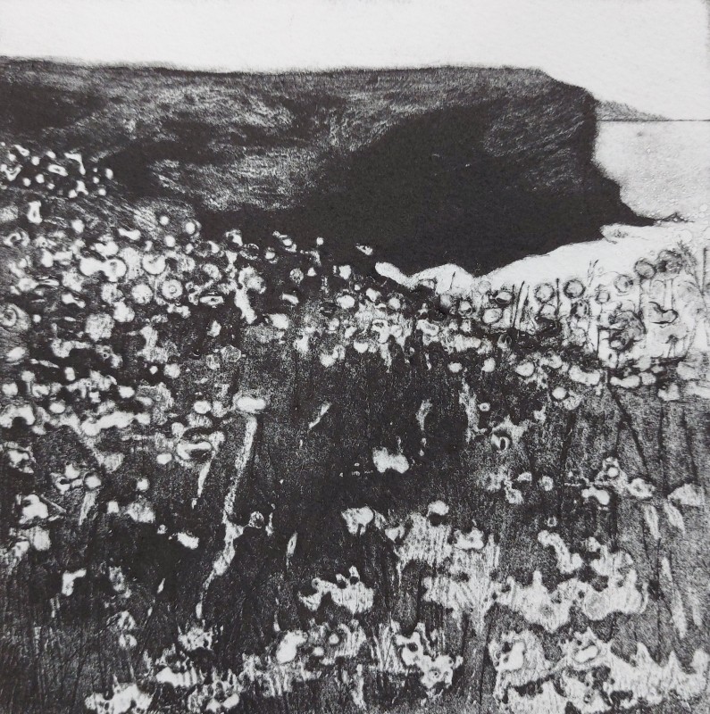 Sky, Rock, Sea & Thrift (Gunver Head)