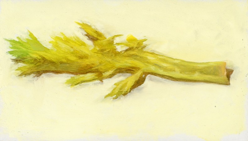 Yellow Celery Stalk