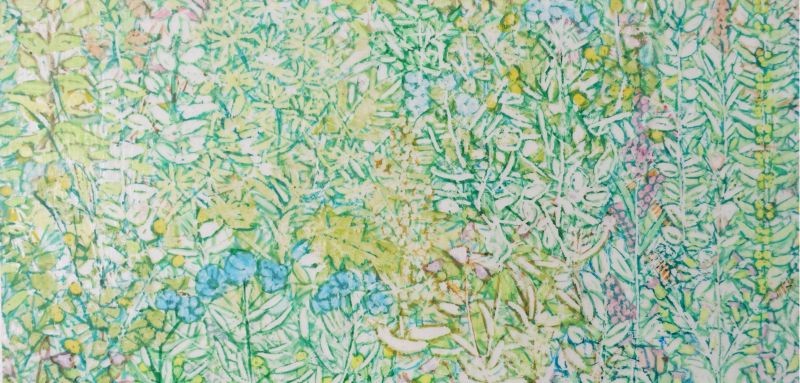 FLORILEGIUM GARDEN STUDY 63