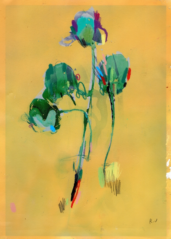 Tulips