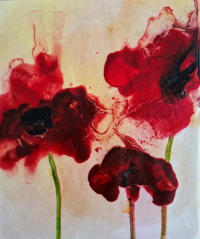 Poppies