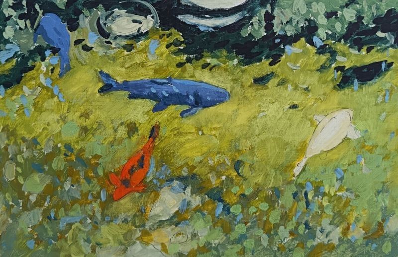 Koi Pond, Trebah Garden