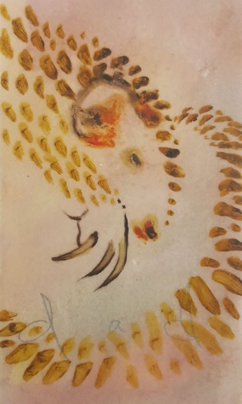 Dad (Pangolin)