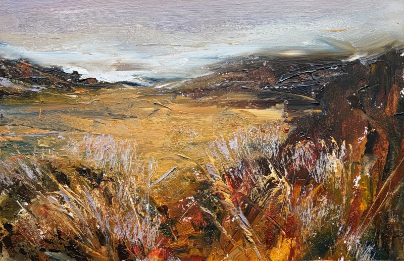 Late Summer Colour