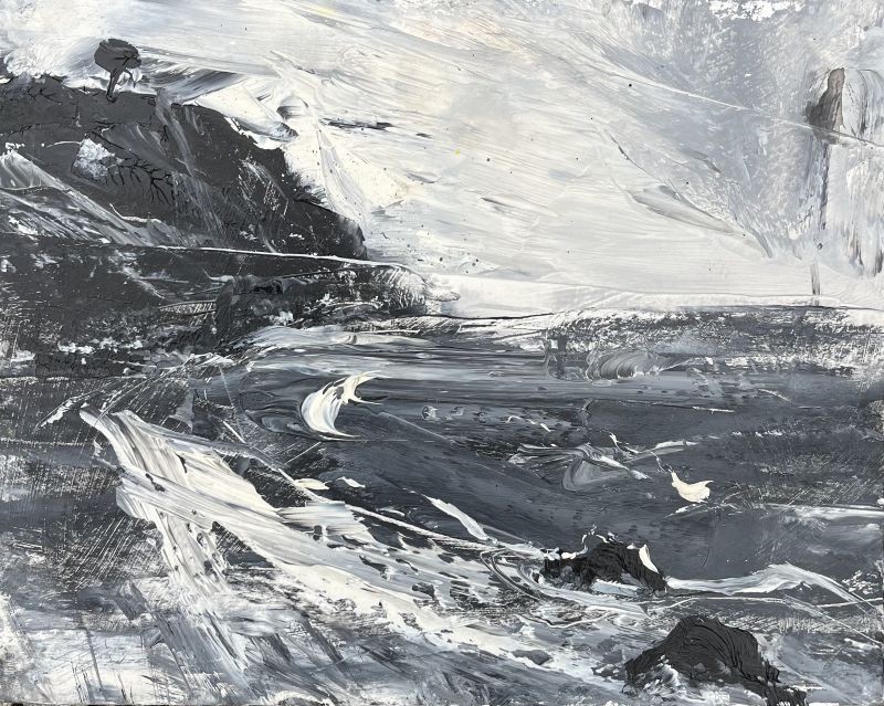 Wild Seas
