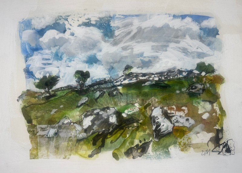 Blustery Dartmoor