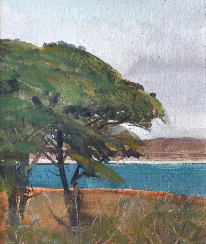 St Martins through Tresco Trees