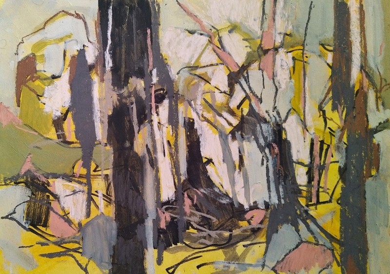 Spring woodland 1
