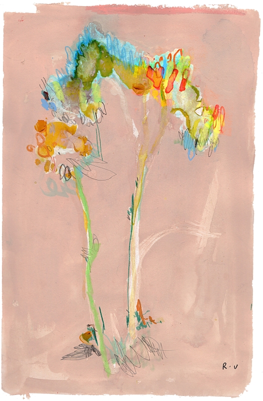 Freesias
