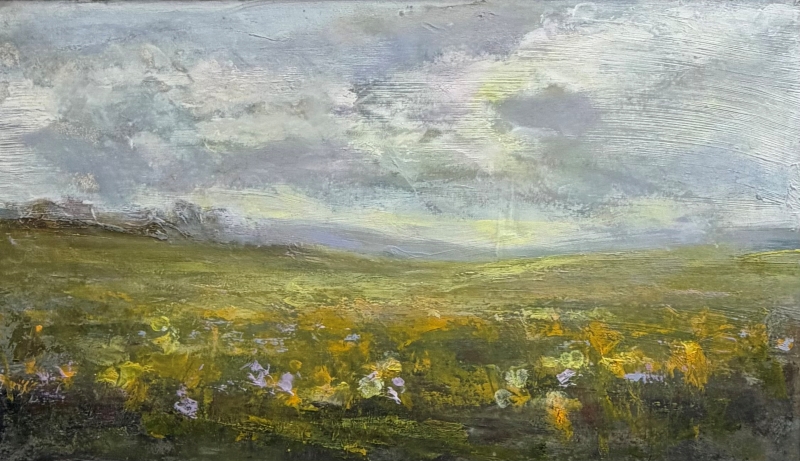 Cornish Spring