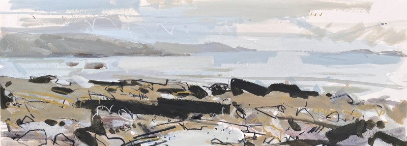 Foggy Cudden Point demo long