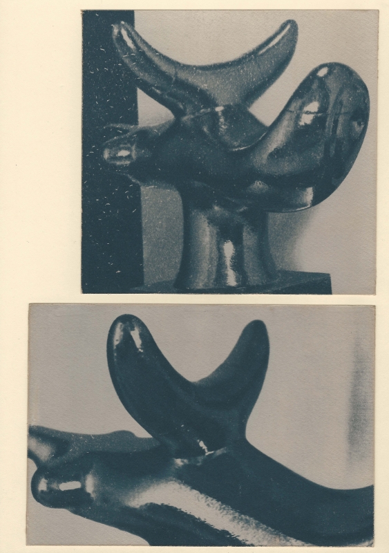 Stereoscope (Solar Bird) 1