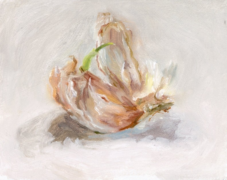Flamboyant Garlic