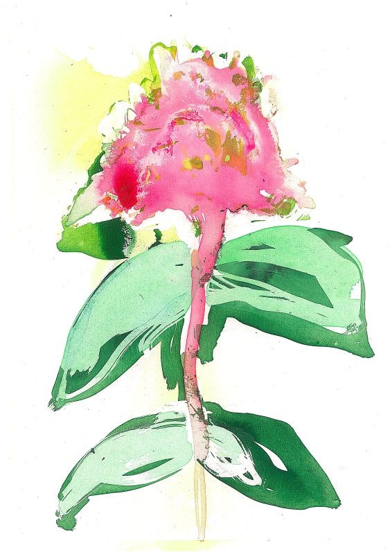 Dying Apeldoorn Palace tulip in front of a Philodendron Scandens Brasil