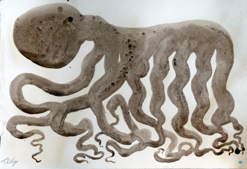 Righthand octopus