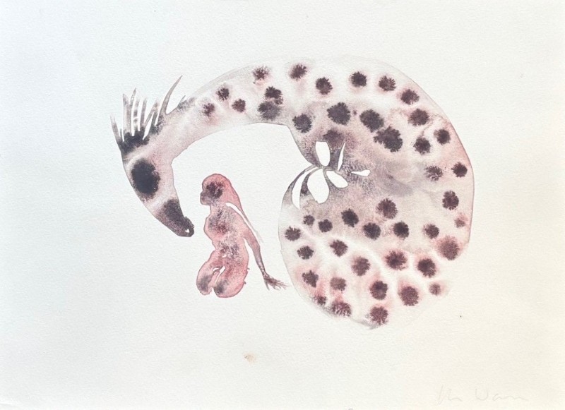 Horse of the Dreamtime