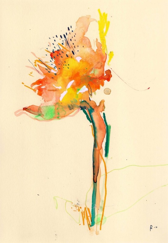 Narcissus