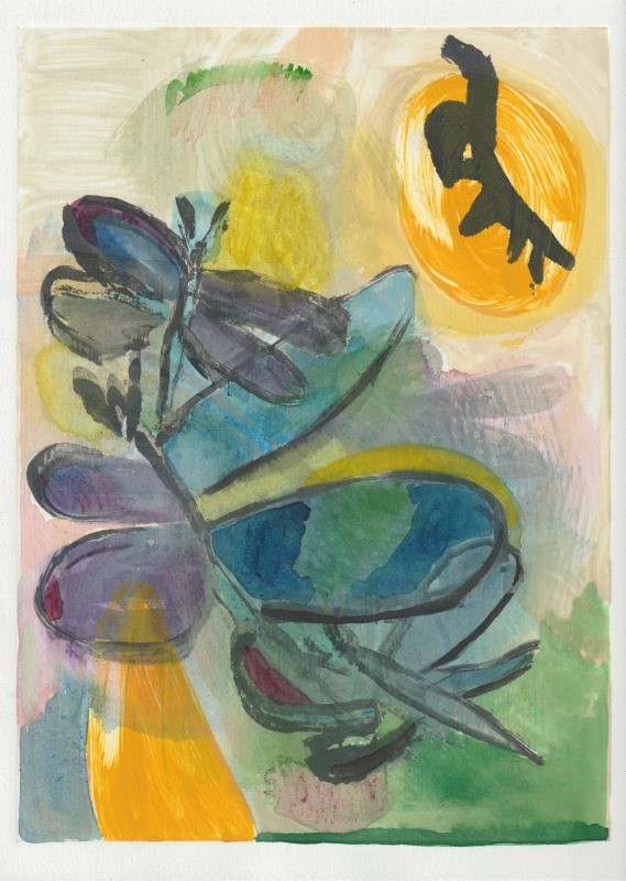 Butterflies (1)