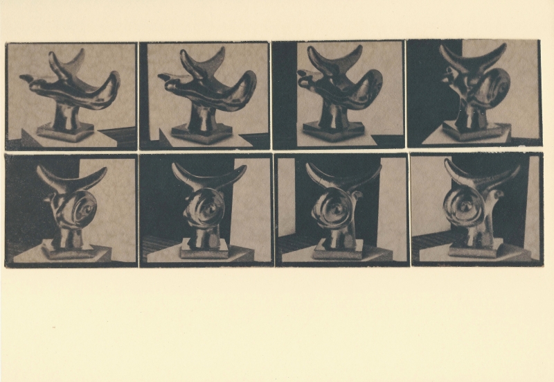 Stereoscope (Solar Bird) 2