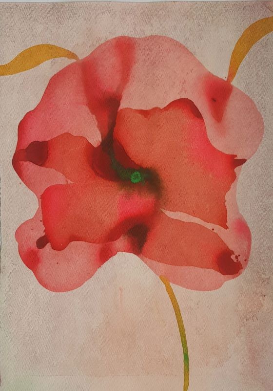 Poppy