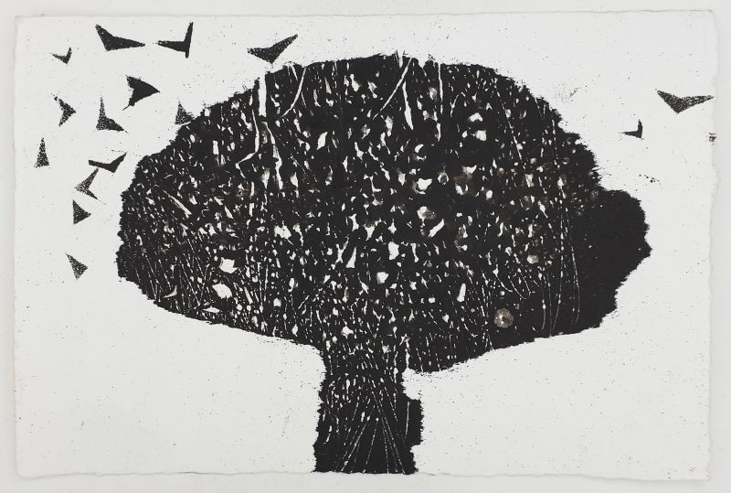 Hawthorn & Crows (+ book)