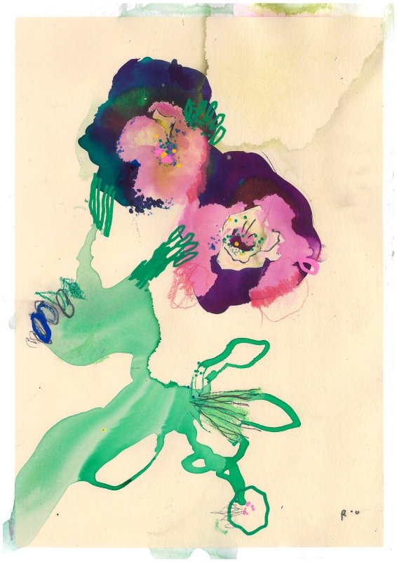 Begonia