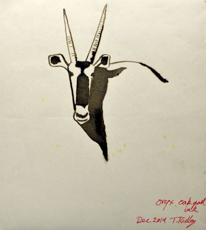 Oryx