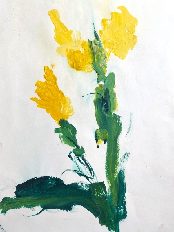 Yellow Madonna Tulips on a Windy Spring Day