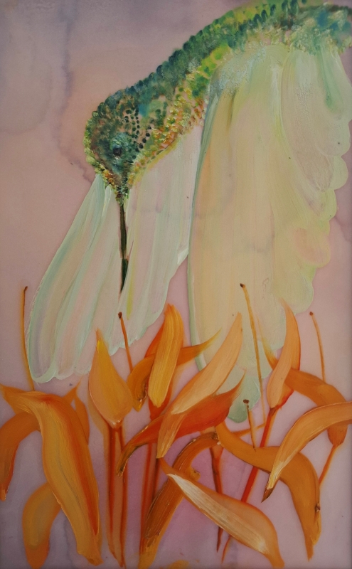 Humming Bird