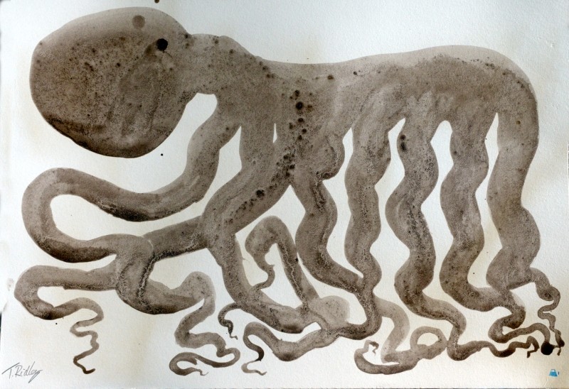 Righthand octopus