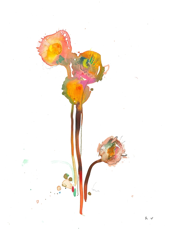 ICELANDIC POPPIES NUMBER ONE