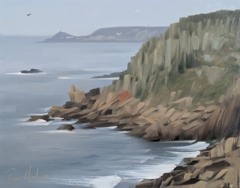 Goose Slade Point from Land's End