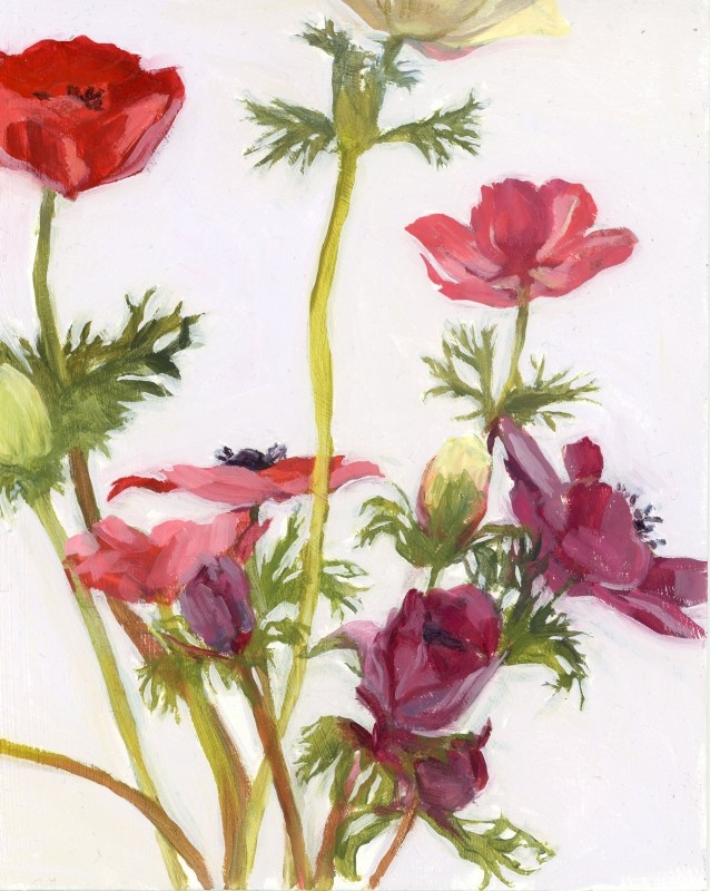 Bunch of Anemones