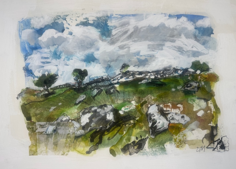 Blustery Dartmoor