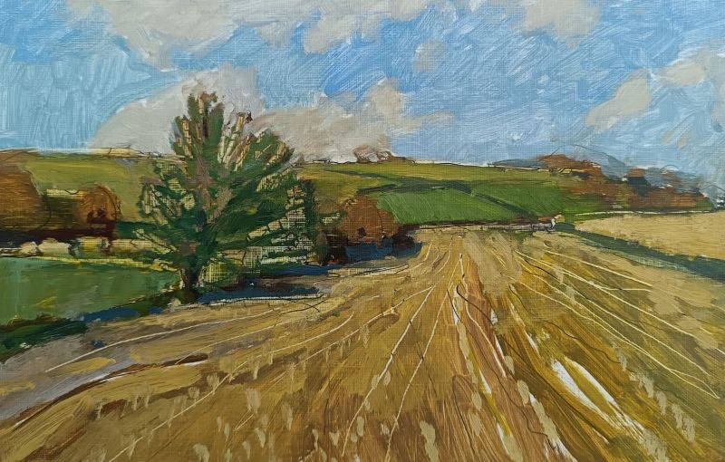 Gulval Fields
